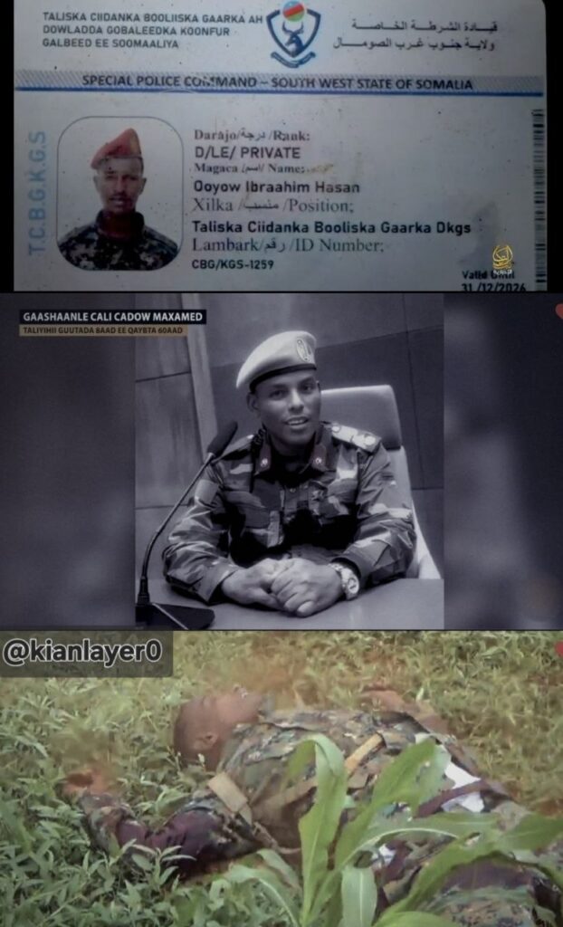Gaashaanle Cali Cadow Maxamed commander the 8th Brigade of the SNA's 60th Division. Shown with his identification found on his corpse by Al-Shabaab. A image of him in life and an image in the moment of death.